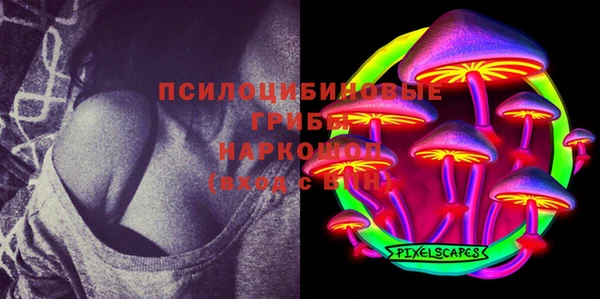 метадон Осташков