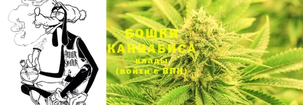 метадон Осташков