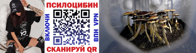 Псилоцибиновые грибы GOLDEN TEACHER  Купить закладки  Донецк 